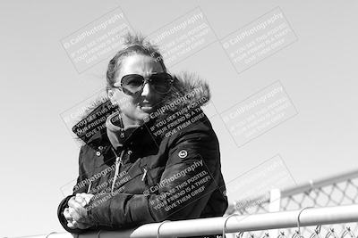 media/Mar-08-2025-TrackXperience (Sat) [[277b597a28]]/1-Around the Pits - Pre Grid/